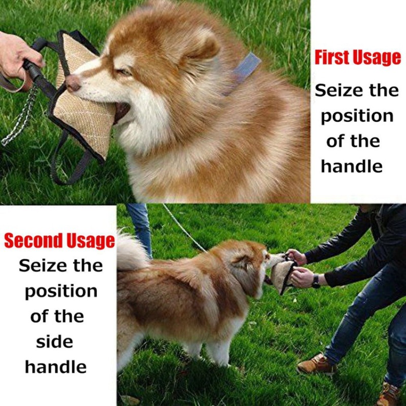 Jouet de dressage pour chien d - Interactive Squeaky Plush Dog Toy avis et prix