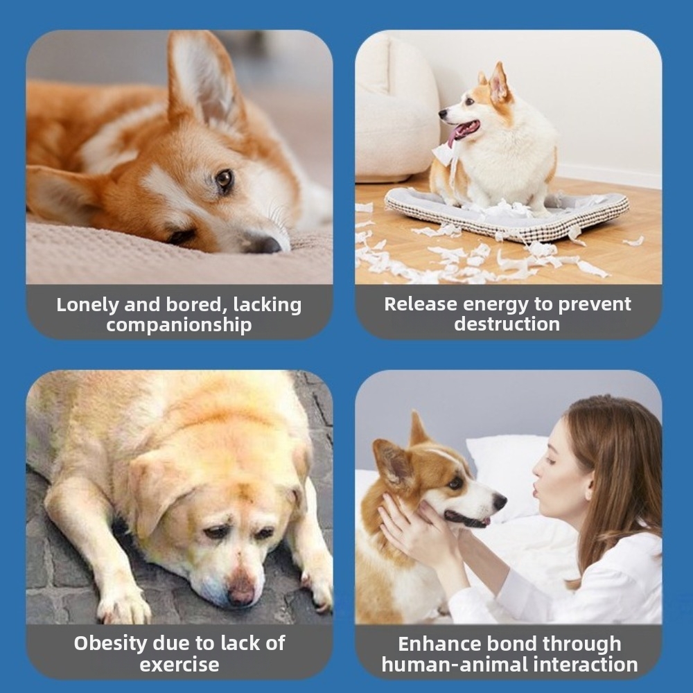 Balle intelligente pour animau - Automatic Moving Dog Ball avis et prix