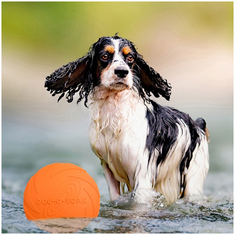 Jouet interactif en silicone e - Flying Disc Dog Training Toy avis et prix