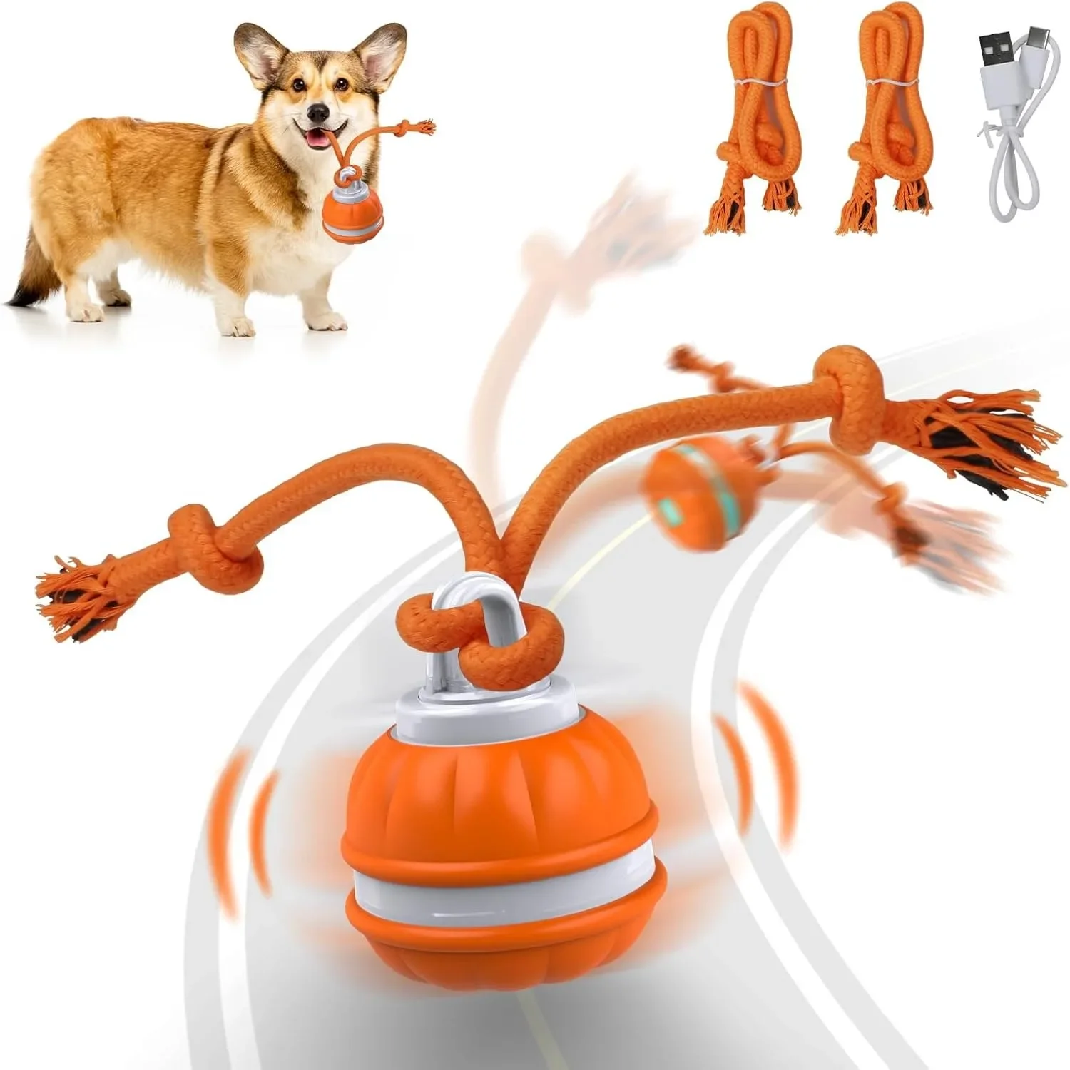 Balle pour animaux de compagni - Automatic Moving Dog Ball avis et prix