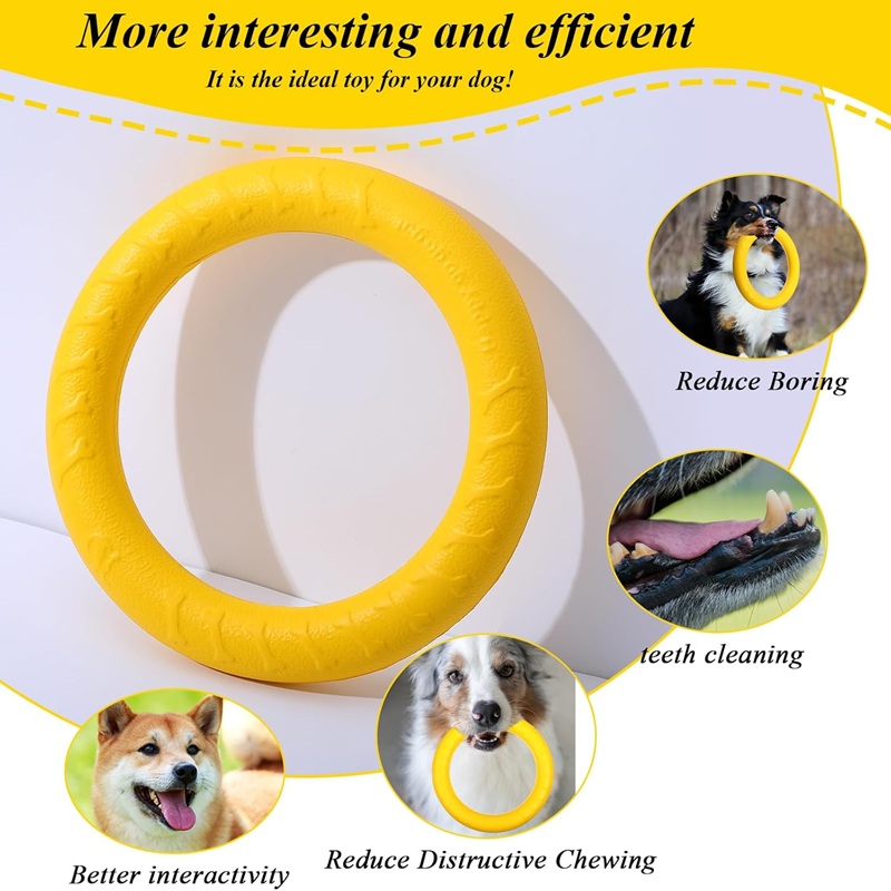Jouets pour chiens : Disques v - Flying Disc Dog Training Toy avis et prix