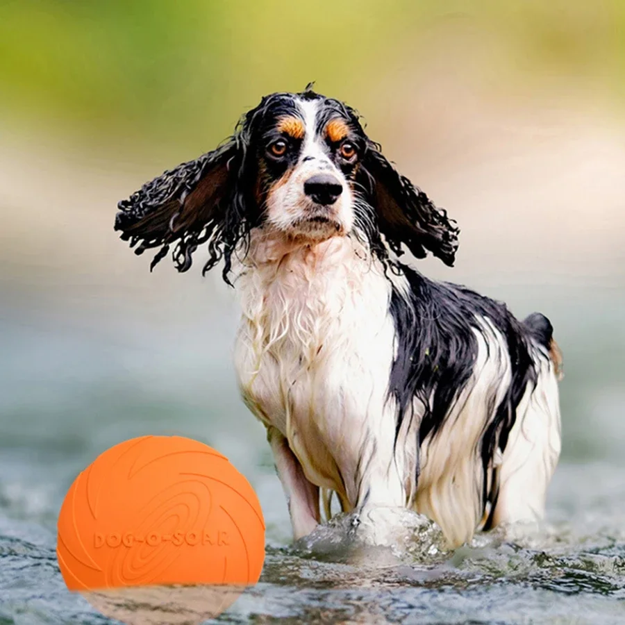 Grand disque volant pour chien - Flying Disc Dog Training Toy avis et prix