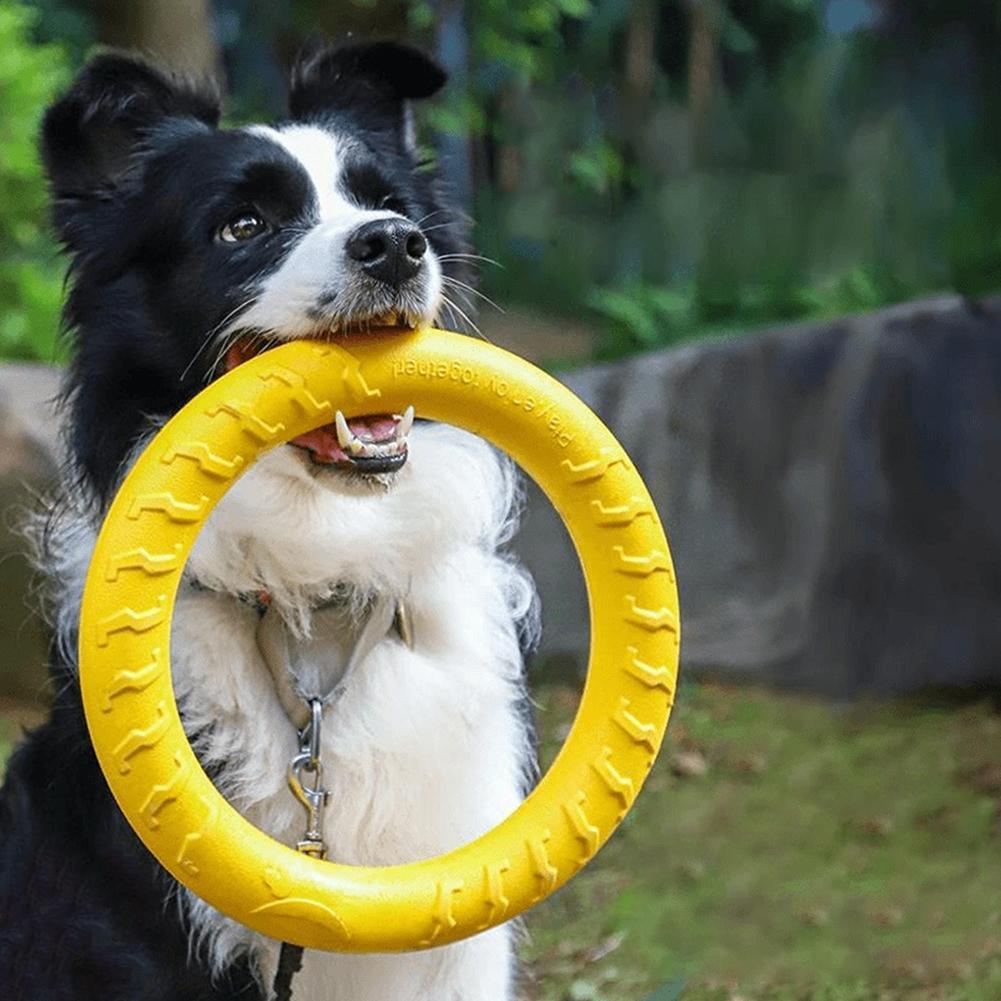 Jouets pour chiens en forme d' - Indestructible Dog Chew Toy avis et prix